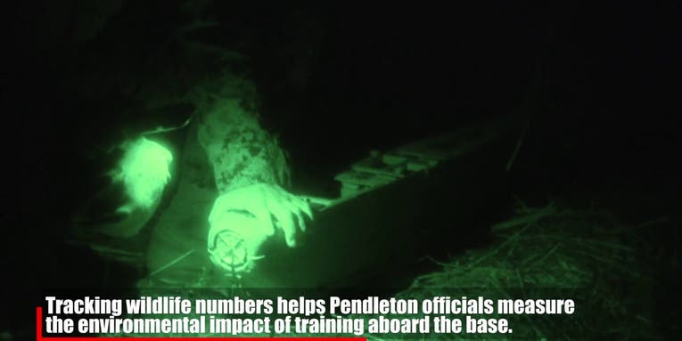 Pendleton Marines launch drone to track wildlife
