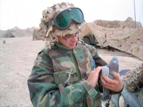 That time the 1st Marine Division brought pigeons to the 2003 invasion of Iraq