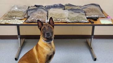 Fort Campbell soldier arrested with 15 pounds of marijuana and 500 Xanax pills