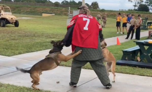 Naval Special Warfare Command cuts ties with SEAL museum over video of dogs attacking man in Colin Kaepernick jersey