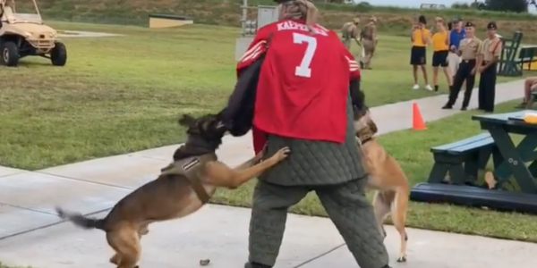 Naval Special Warfare Command cuts ties with SEAL museum over video of dogs attacking man in Colin Kaepernick jersey