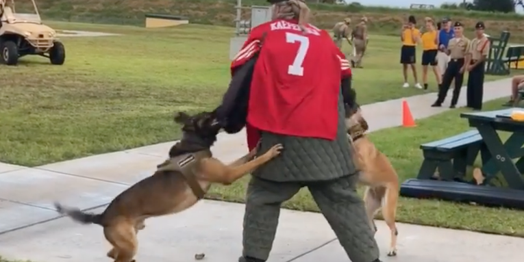 Navy investigating video of military dogs attacking man in Colin Kaepernick jersey during demonstration