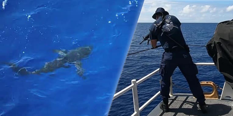 We salute the badass Coastie who opened fire on a friggin’ shark that crashed his crew’s swim call