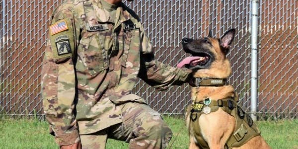 Military working dog retires to Fort Couch after pristine career