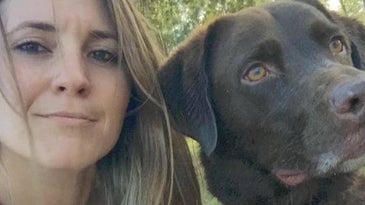 Feud Over Service Dog Ends After American Airlines Settles Lawsuit With Army Veteran