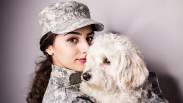 In Praise Of The ‘Heroes’ Behind Terrible Military Stock Photos