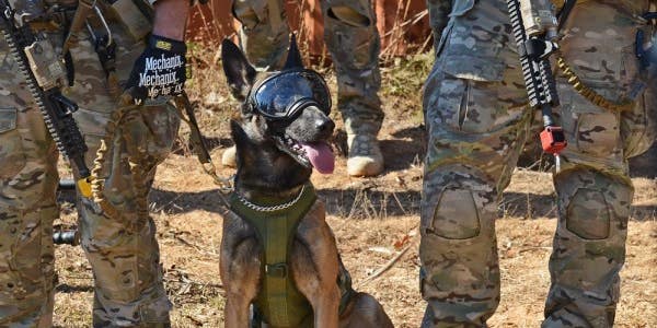 SOCOM Needs Oxygen Masks For Its Dogs So They Can HAHO Like Badasses