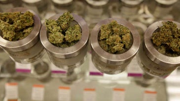 Every Veteran Deserves Legal Access To Medical Marijuana