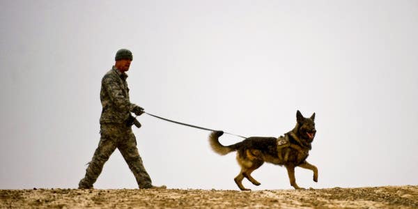 The Forgotten Heroes Of America’s Past Wars: Military Working Dogs
