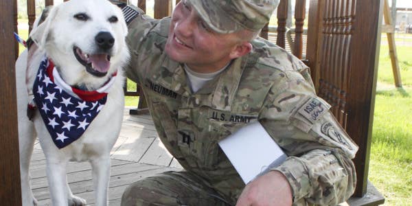 5 Videos That Show Dogs Going Crazy Reuniting With Troops
