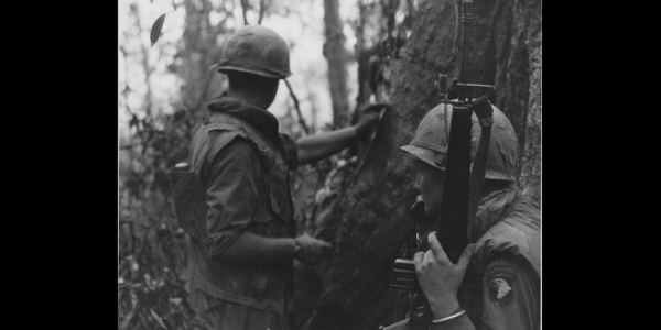 Colt Is Bringing Back The Iconic Vietnam War Service Rifle