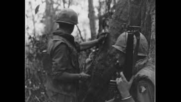 Colt Is Bringing Back The Iconic Vietnam War Service Rifle