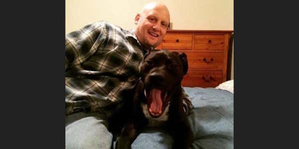 This Iraq War Vet Was Booted From A Gun Show Because Of His Service Dog
