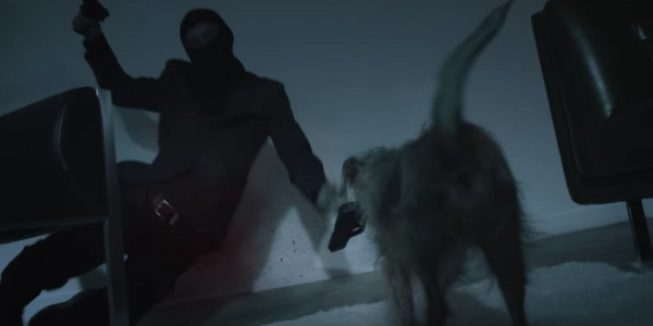 In Hilarious ‘John Wick’ Spoof, The Dog Is Back And Looking For Vengeance