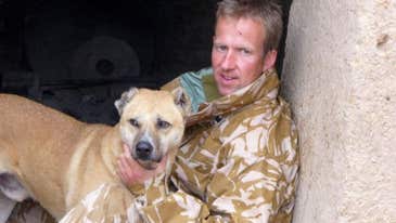 Royal Marine Wins Hero Award For Reuniting Troops With Dogs Left Behind