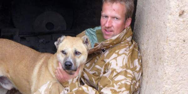 Royal Marine Wins Hero Award For Reuniting Troops With Dogs Left Behind