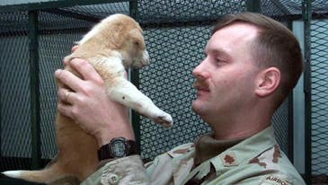 UNSUNG HEROES: This Army Captain Rescued Iraq’s Zoo Animals From Looters, Bombs, And Starvation
