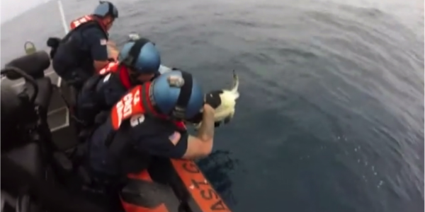 Watch A Coast Guard Crew Find Trapped Sea Turtles While Searching For Drugs