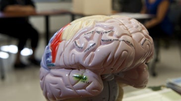 10 Myths About Traumatic Brain Injury