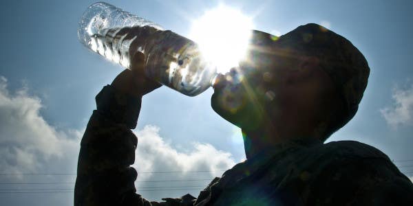 A Vet’s Advice On Dehydration And How to Avoid It