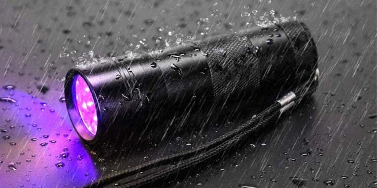 Assess your surroundings with the best UV flashlights