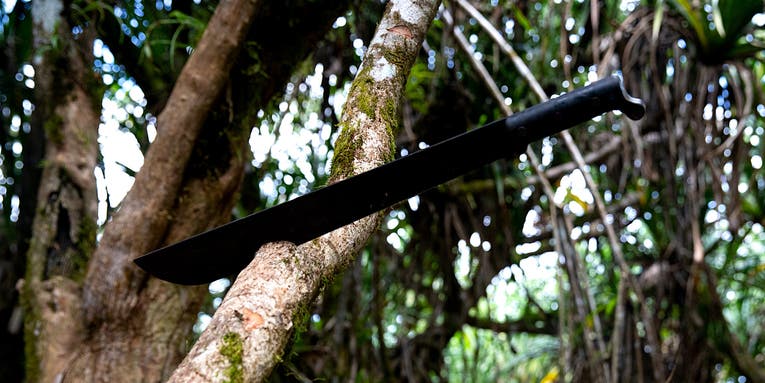 The best machetes for hacking your way through the wilderness