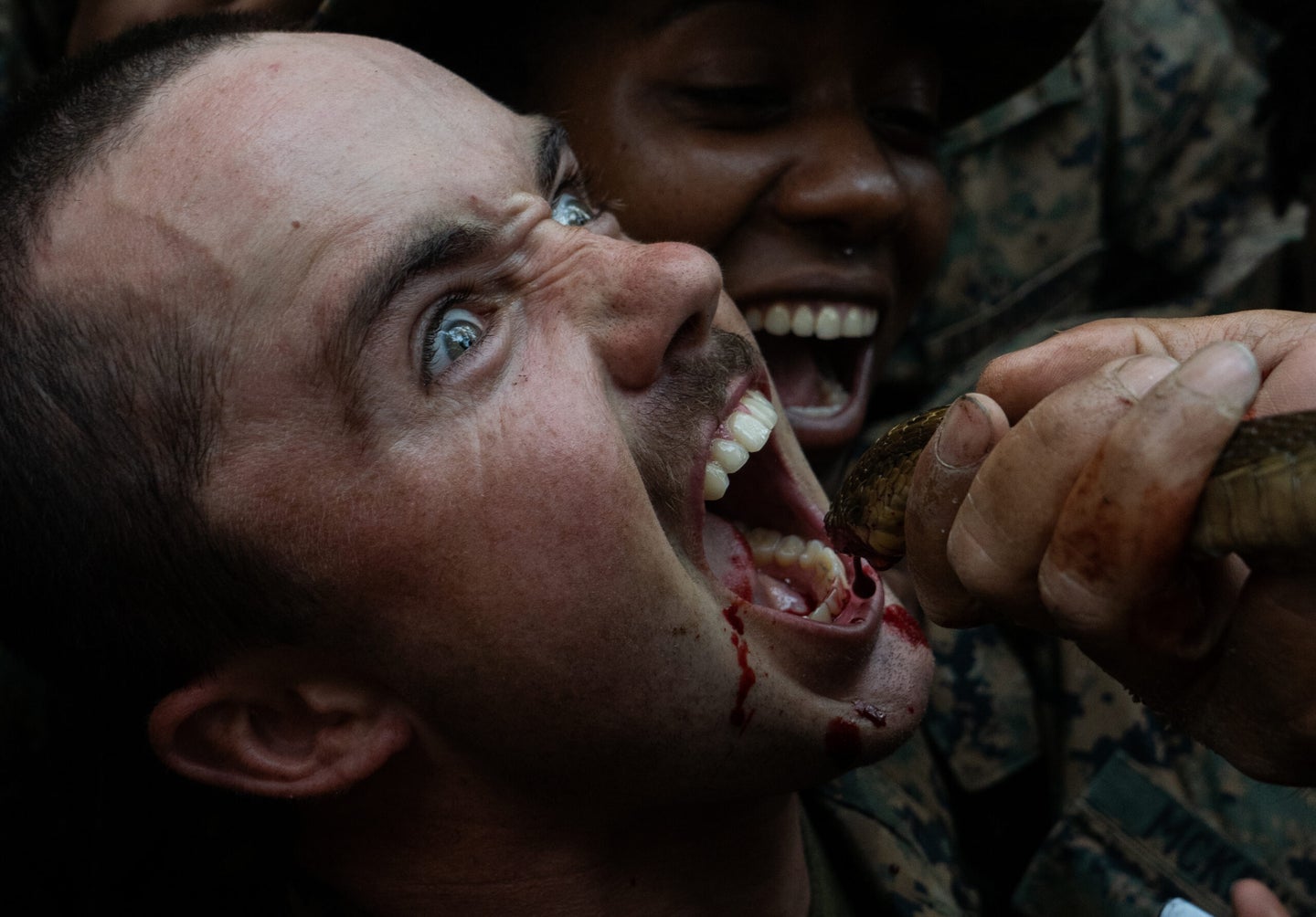 U.S. Marines Lance Cpl. Lance with 1st Battalion, 5th Marine Regiment, drinks the blood of a king cobra as part of jungle survival training during exercise Cobra Gold 2020 at Ban Chan Khrem, Chanthaburi, Kingdom of Thailand, Mar. 1, 2020.The Marines learned essential skills necessary for surviving in a jungle environment, such as making a fire, eating plants and alternative ways to stay hydrated. Drinking the blood of a cobra provides the body with extra nutritional to help it stay alive, but is meant as a last resort option. Exercise Cobra Gold 20 is the largest Theater Security Cooperation exercise in the Indo-Pacific region and is an integral part of the U.S. Commitment to strengthen engagement in the region. (U.S. Army Photo by Sgt. Nicolas Cholula)