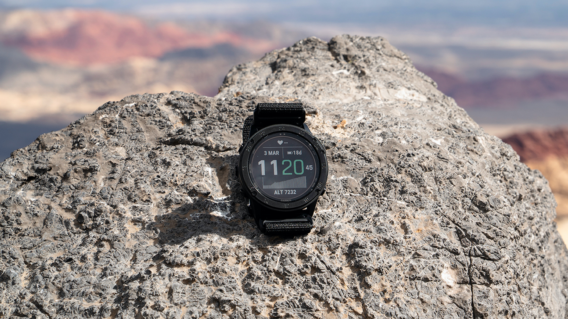 Garmin tactix delta online specs