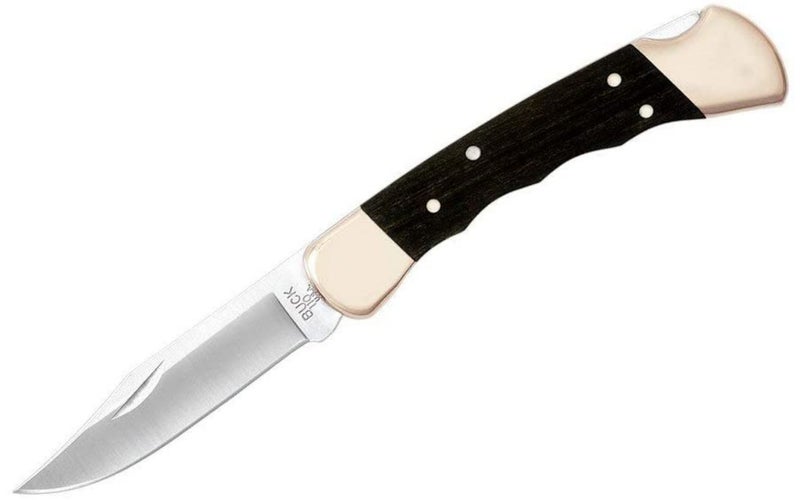 Buck 110 Folding Hunter Knife