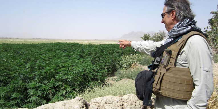The US military needs to burn down its zero-tolerance weed policy