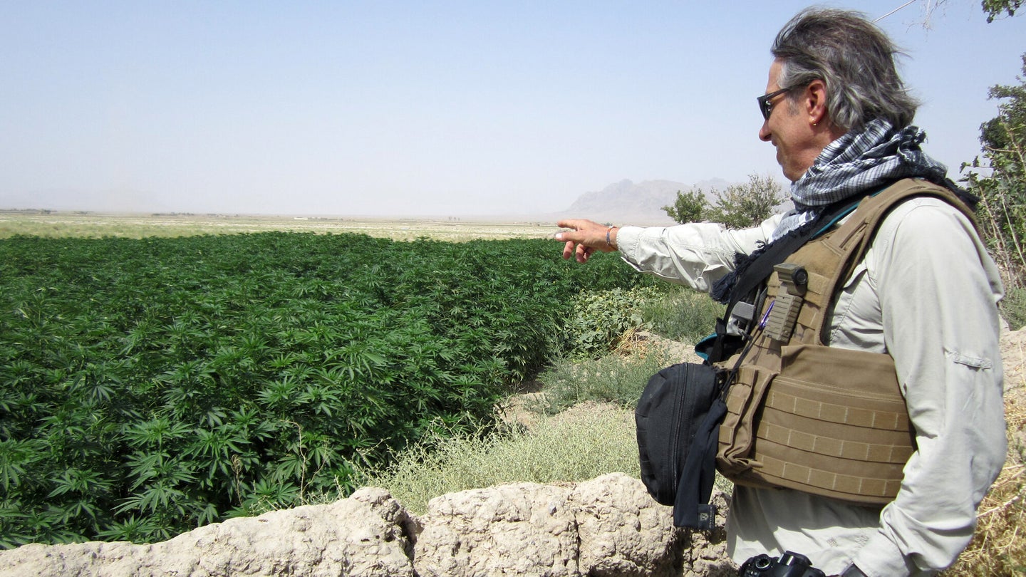 Steve Tavella, a field program officer for the U.S. Agency for International Development, surveys a field of cannabis (marijuana) near the village of Haji Nikal, Afghanistan, July 22, 2012. USAID focuses on projects such as providing assistance and resources for legal crop production to the Afghan people.