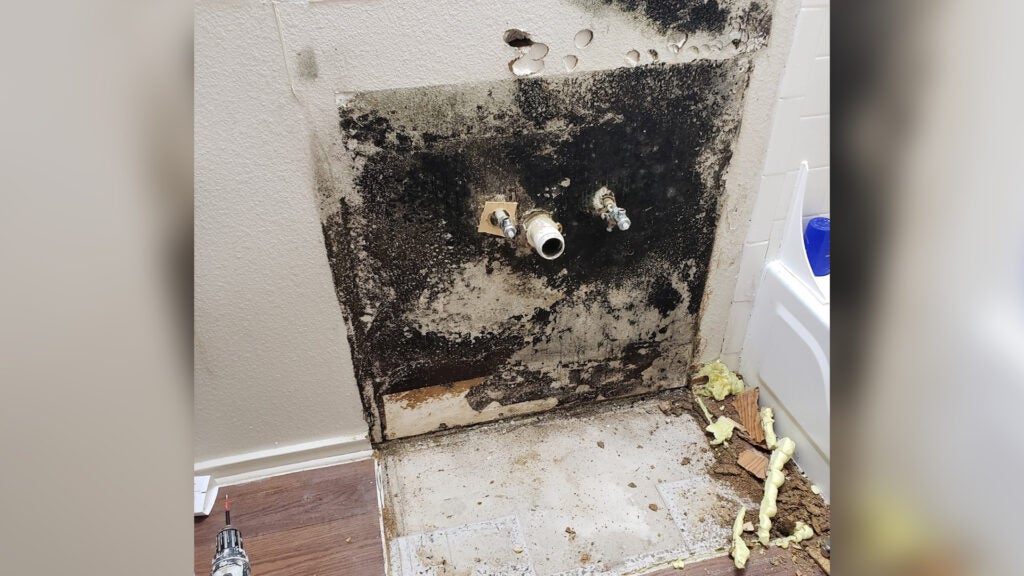 Mold in the Roellchen family's first home at Lackland Air Force Base. (Photo via Staff Sgt. Jonn Roellchen)