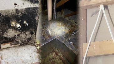 mold in privatized military housing