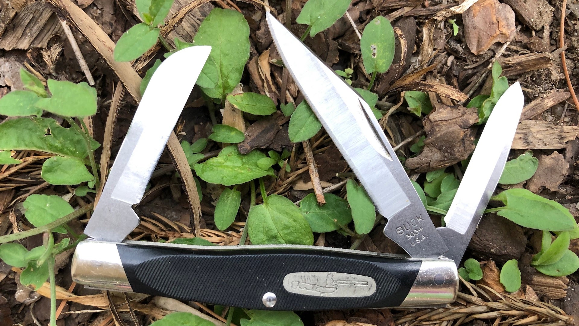 The Buck 110 Folder Review and History