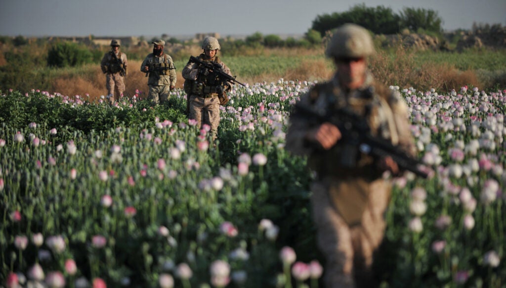 US Marines and Navy Gunnary Sergeant Nate Cosby (R), Staff Sergeant Josh Lacey (2nd R) and Hospitalman 2 Daniel Holmberg (L) from Border Adviser Team (BAT) and Explosive Ordance Disposal (EOD) 1st and 2nd Marine Division (Forward) walk through opium poppy field at Maranjan village in Helmand province on April 25, 2011 as they take patrol with their team and Afghanistan National Police. Nearly a decade into the war in Afghanistan, opium poppies are still the major crop for many farmers and a big source of income for the Taliban despite expensive efforts to stamp out cultivation. AFP PHOTO/Bay ISMOYO (Photo credit should read BAY ISMOYO/AFP via Getty Images)