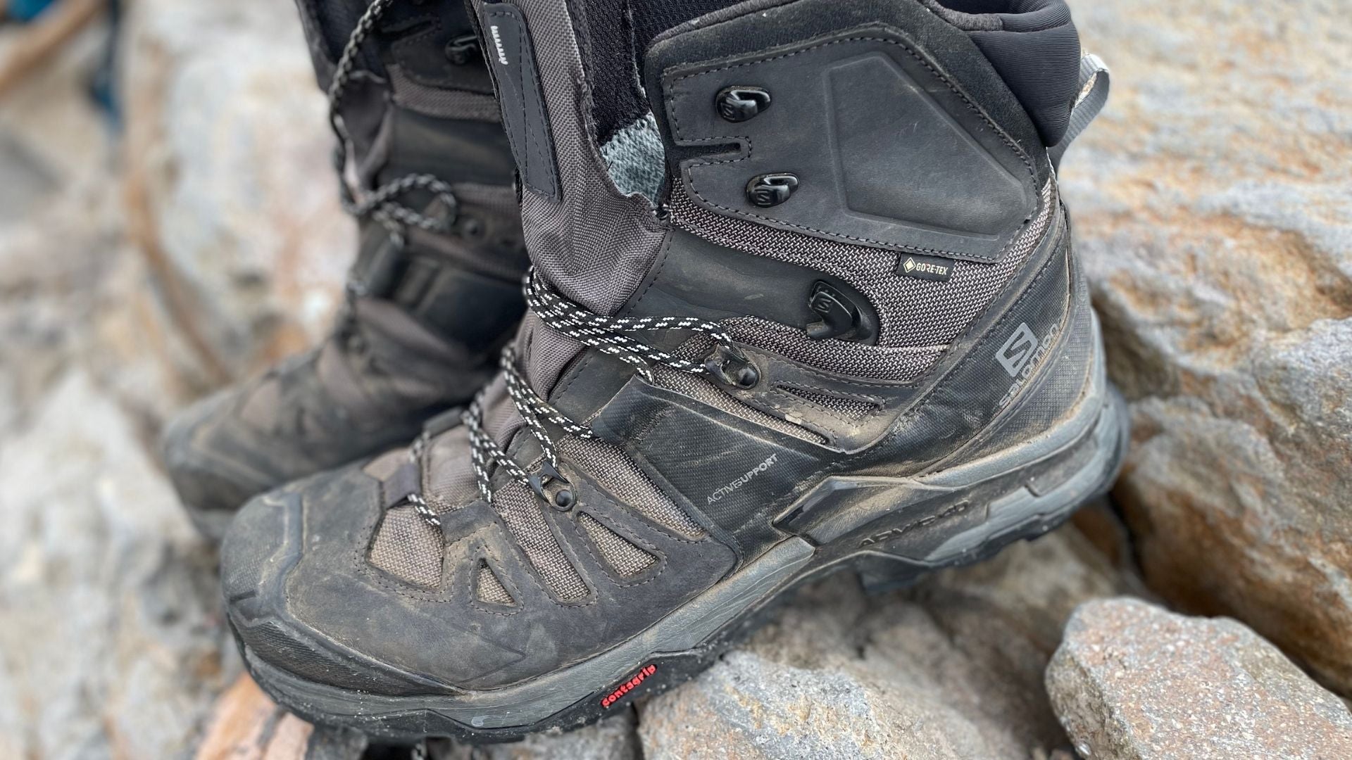 contact overthrow Uncle or Mister Salomon Quest 4D 3 Gore-Tex Boots (Review) 2021 - Task & Purpose