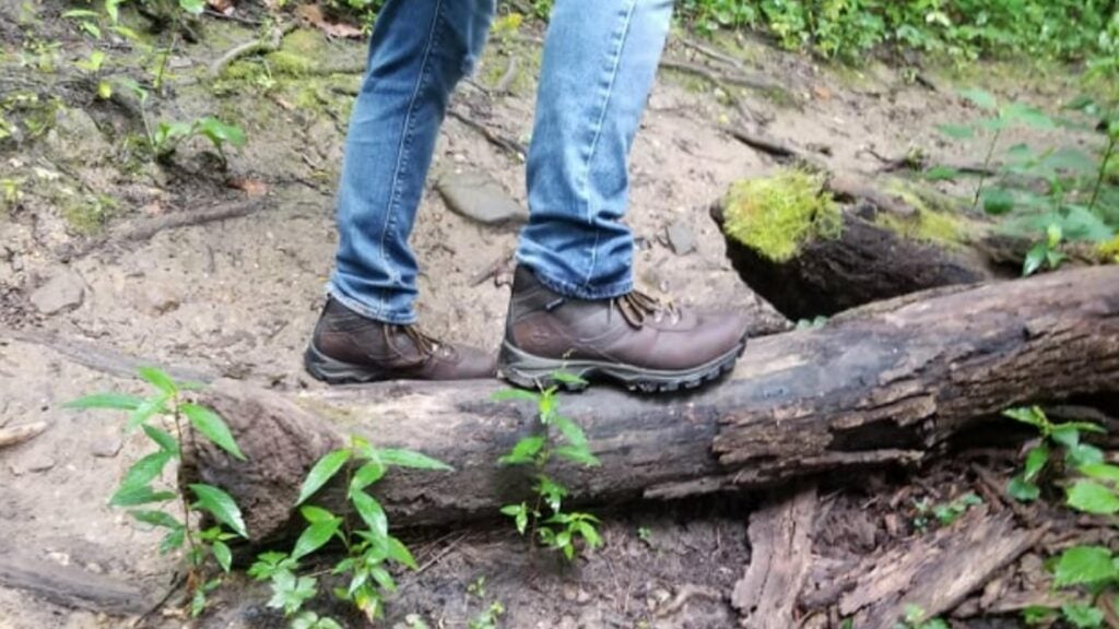Review: the Timberland Mt. Maddsen Mid Leather hiking boots are made to excel in rain or shine