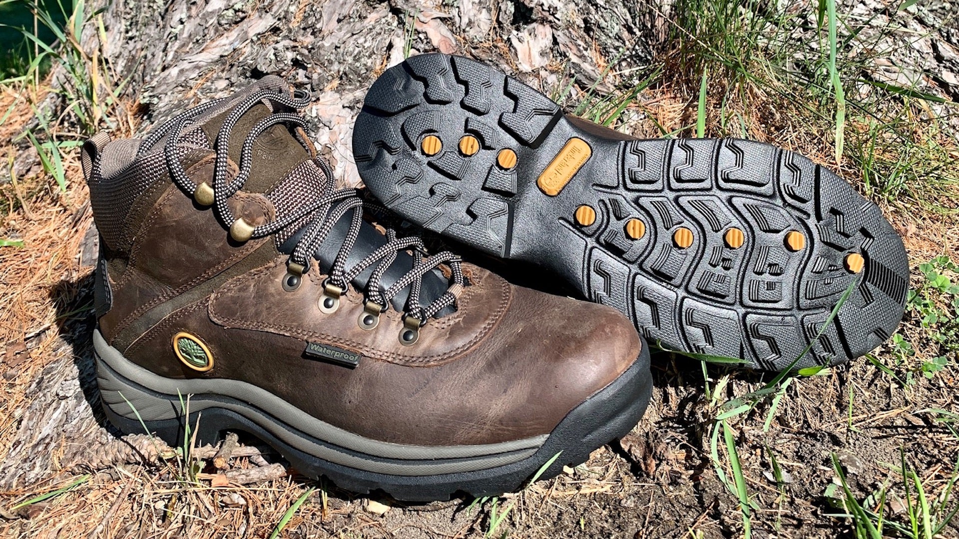 Timberland Mid Hiking (Review) 2021 - Task
