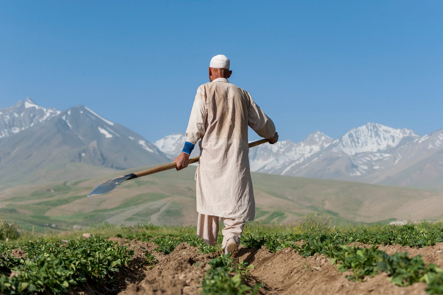 A potato farmer works in his fields in the Fulladi Valley with views of snow covered mountains in the distance