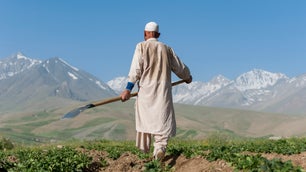 A potato farmer works in his fields in the Fulladi Valley with views of snow covered mountains in the distance