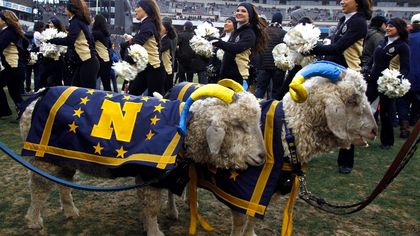 US Naval Academy mascots Bill 33, right, and Bill 34 stand on the sidelines as the Naval Academy dance team performs before the start of the Army-Navy NCAA college football game at Lincoln Financial Field Saturday Dec. 14, 2013 in Philadelphia. (AP Photo/Jacqueline Larma)