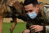 U.S. Air Force Senior Airman Armando Mendiola, 355th Security Forces Squadron military working dog handler, and Ootter, 355th SFS MWD, perform a demonstration at Davis-Monthan Air Force Base, Arizona, Feb. 16, 2021. Bonds between a handler and dog is crucial to the success of each MWD team. (U.S. Air Force photo by Staff Sgt. Sergio A. Gamboa)