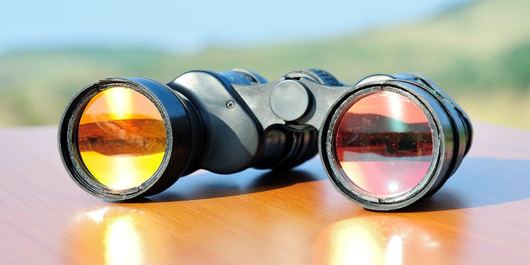 The best compact binoculars for glassing on the go