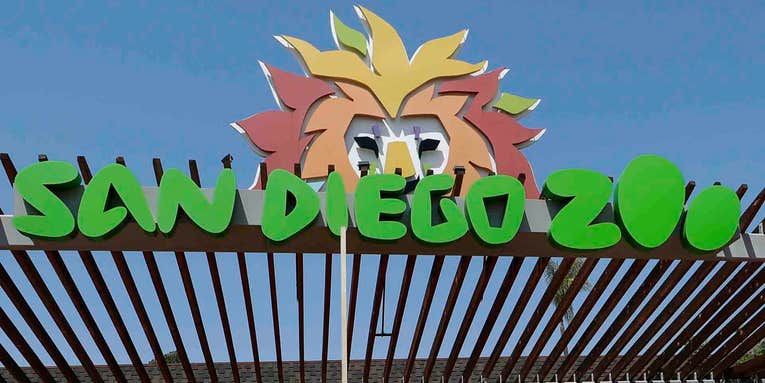 4 Marines arrested for allegedly acting like jackasses at the San Diego Zoo