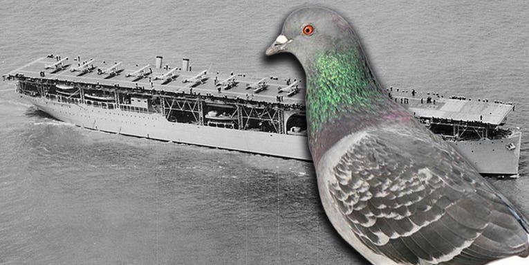 Bird warfare: Why the Navy’s first aircraft carrier had a dedicated ‘pigeoneer’