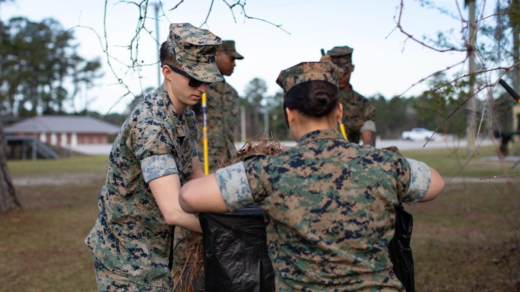 Marines Leaves