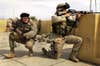 U.S. Marine snipers from the 2nd Battalion, 5th Marine Regiment, take cover during a gun battle with insurgents in Ramadi in Anbar province, Iraq on Oct. 31, 2004. (Jim MacMillan/AP)
