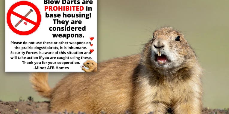 Air Force to airmen: Please stop shooting prairie dogs with blow darts