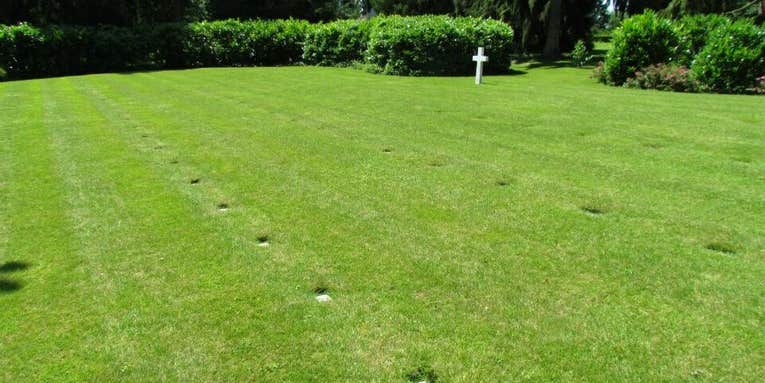 The American military graveyard in France that the Pentagon doesn’t want you to see