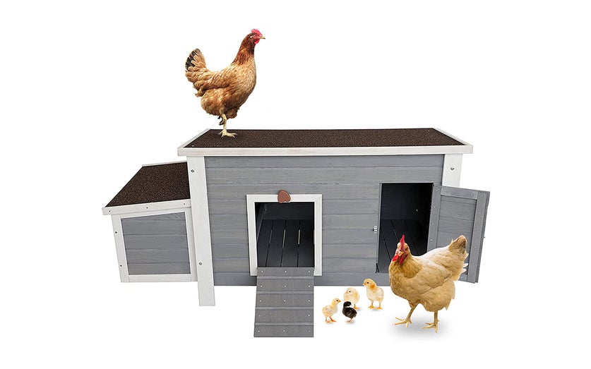 Petsfit Chicken Coop